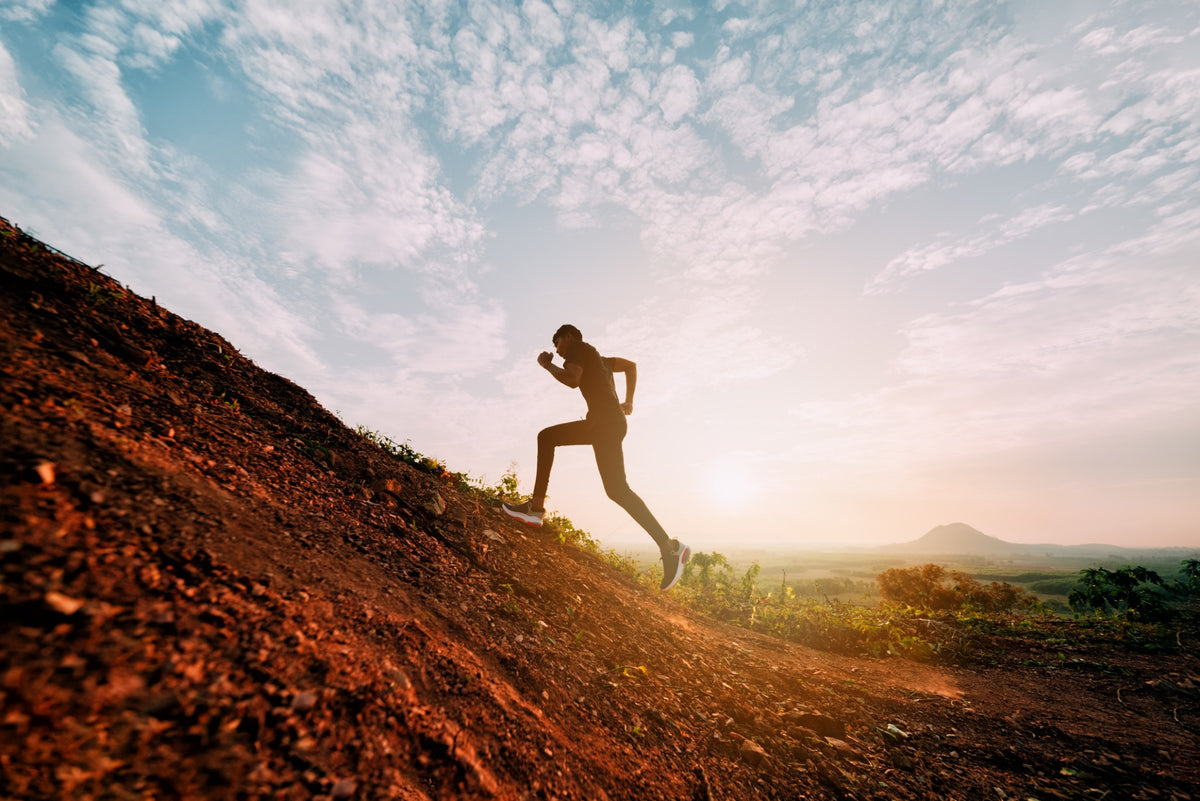 A considered approach to everyday wellness